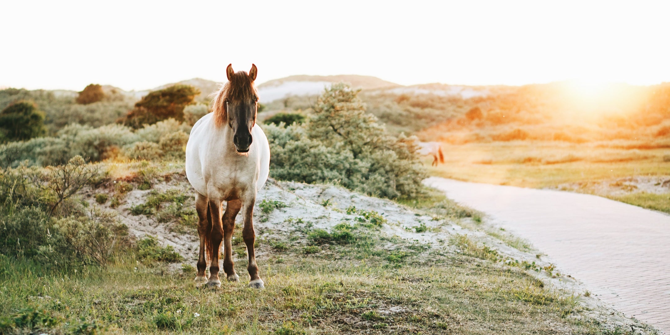 Individuelle Kräutermischungen