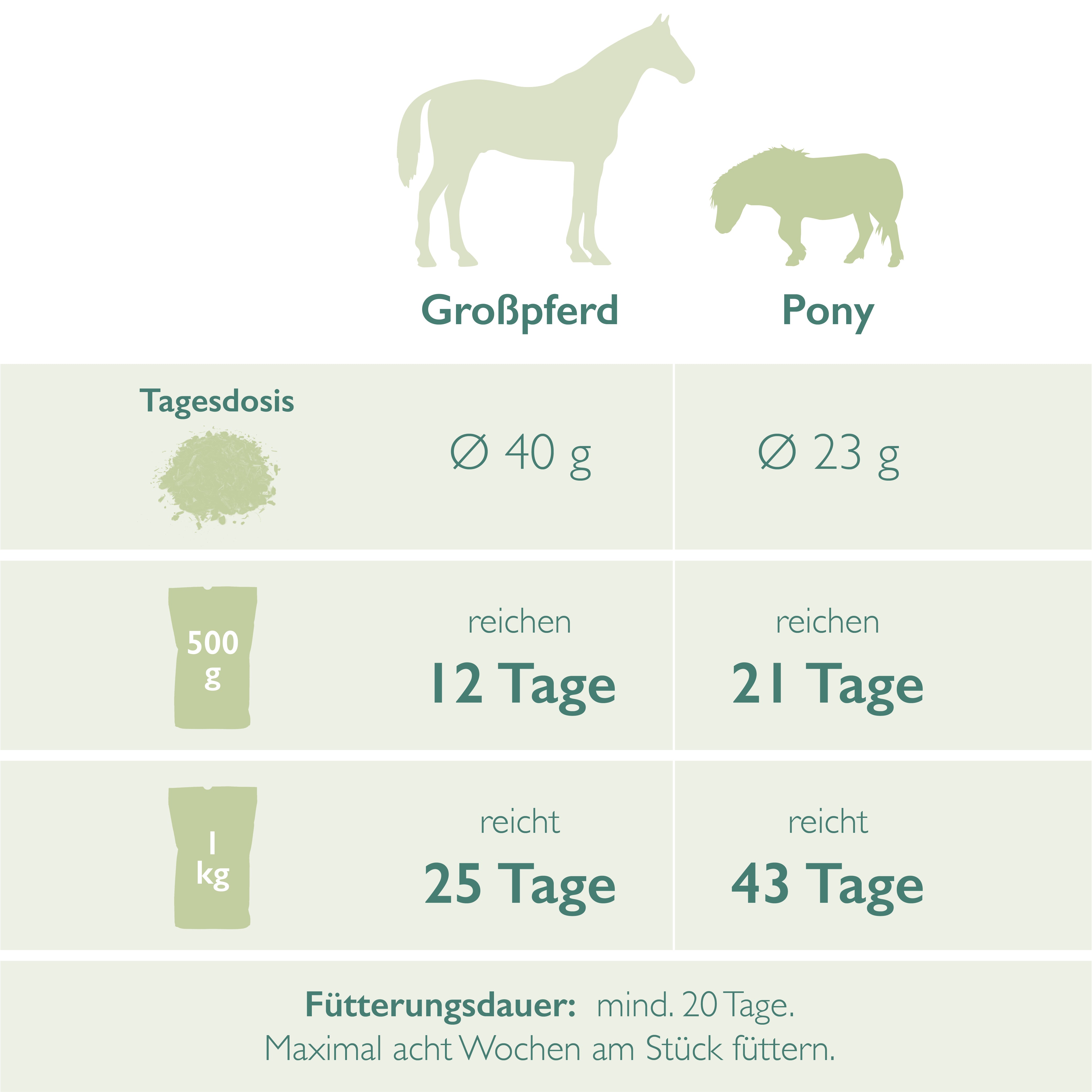 Anis, Fenchel, Kümmel