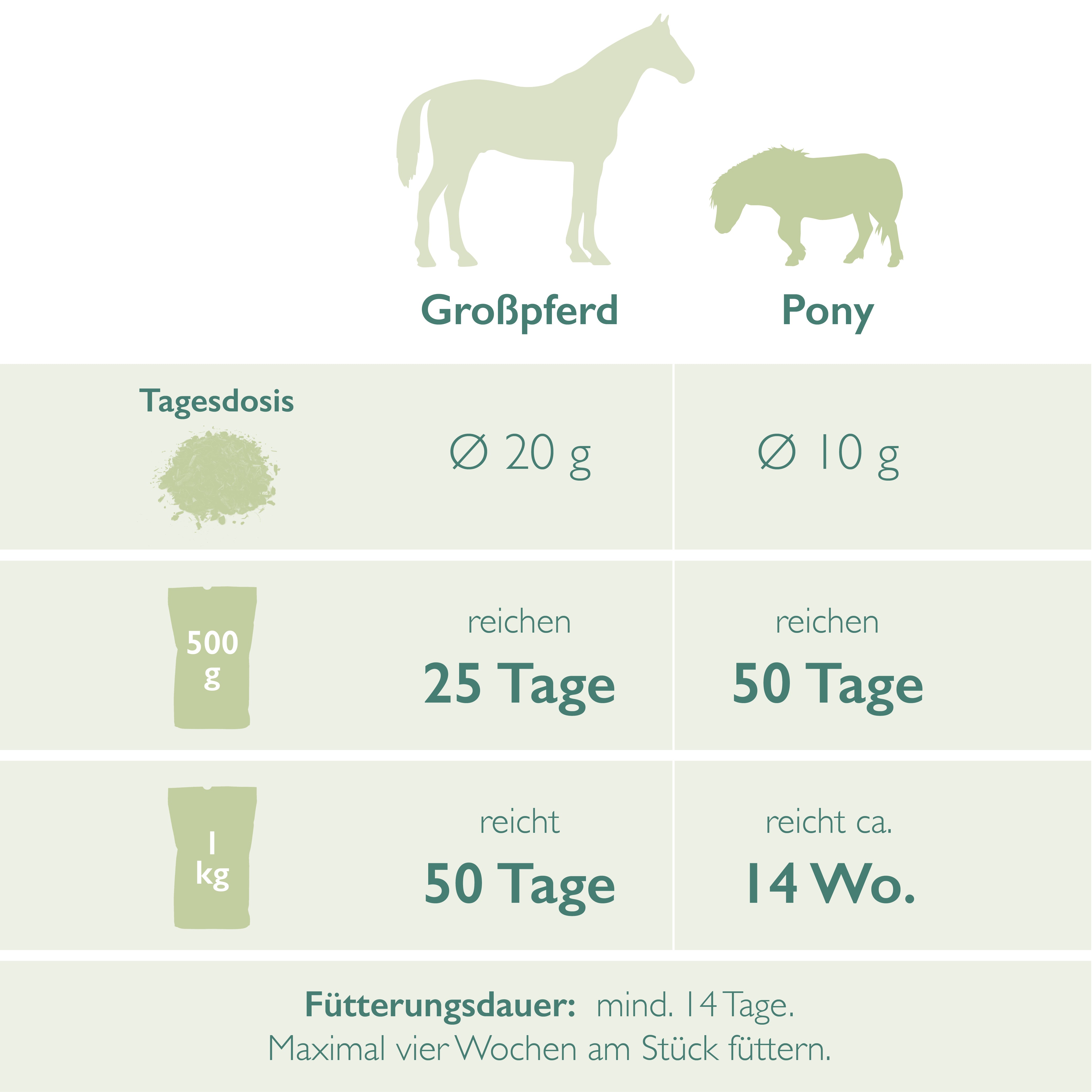 Beifuß