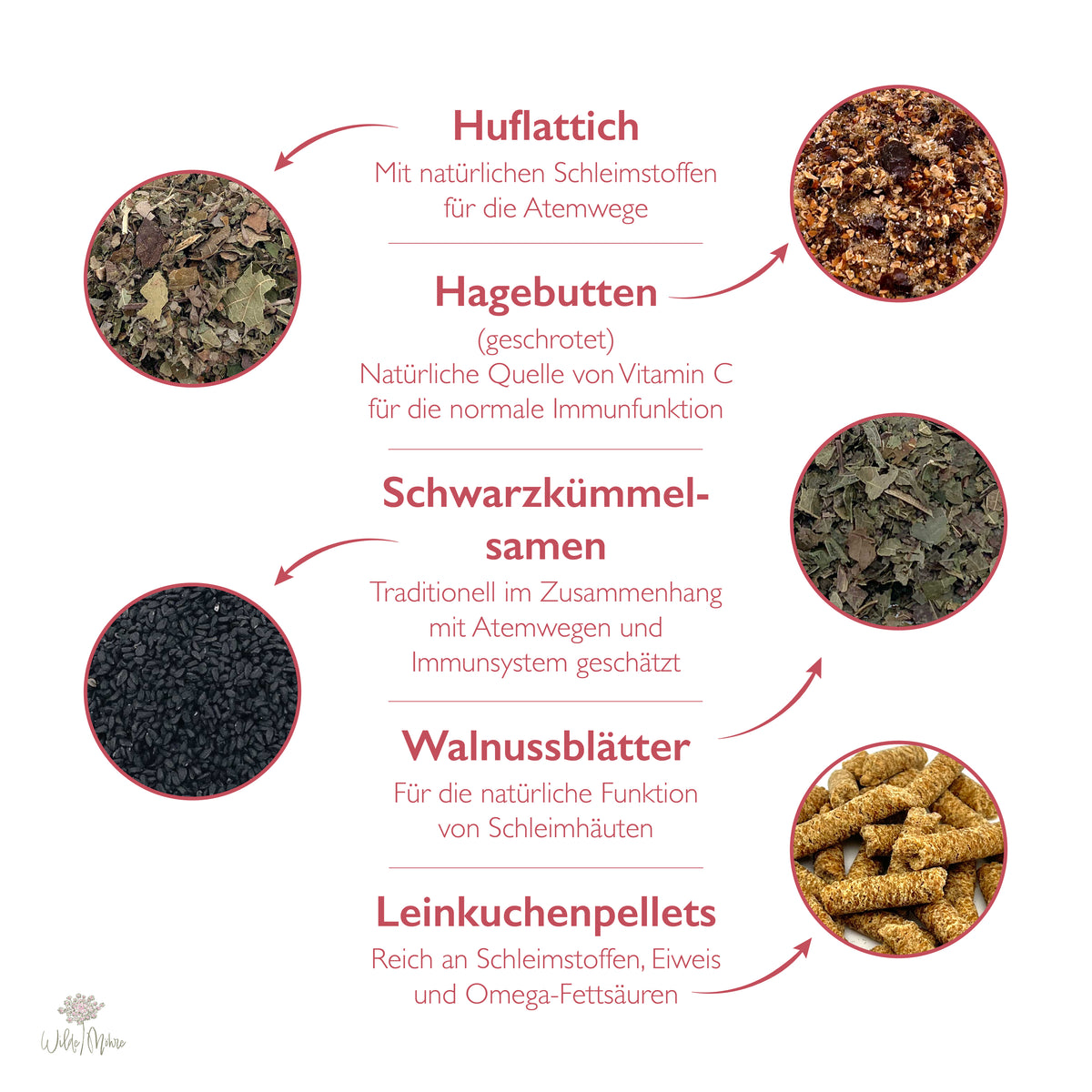 HerbstkrÀuter-Set 3