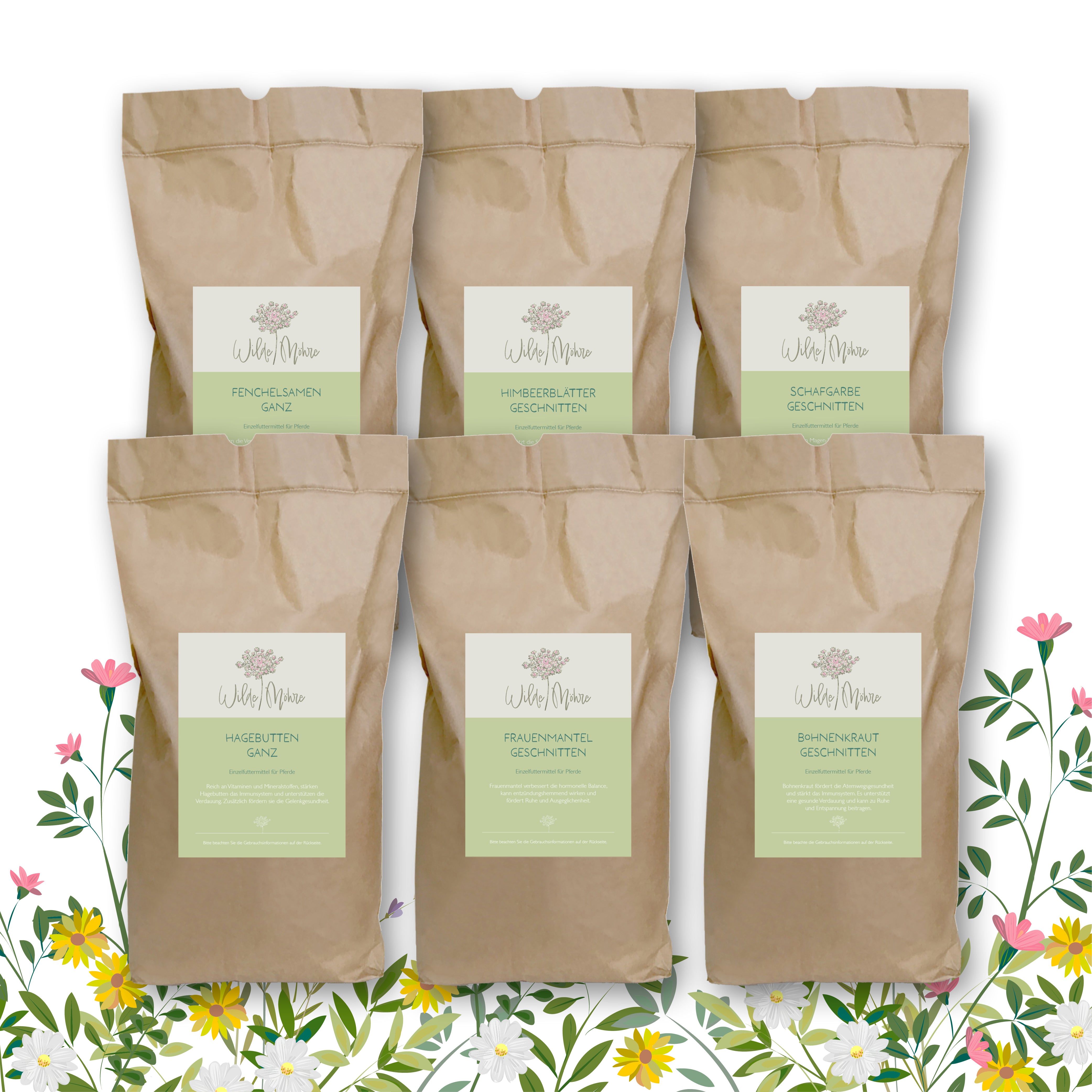 Frühlingskräuter-Set 3 - Perfekter Frühlingsstart