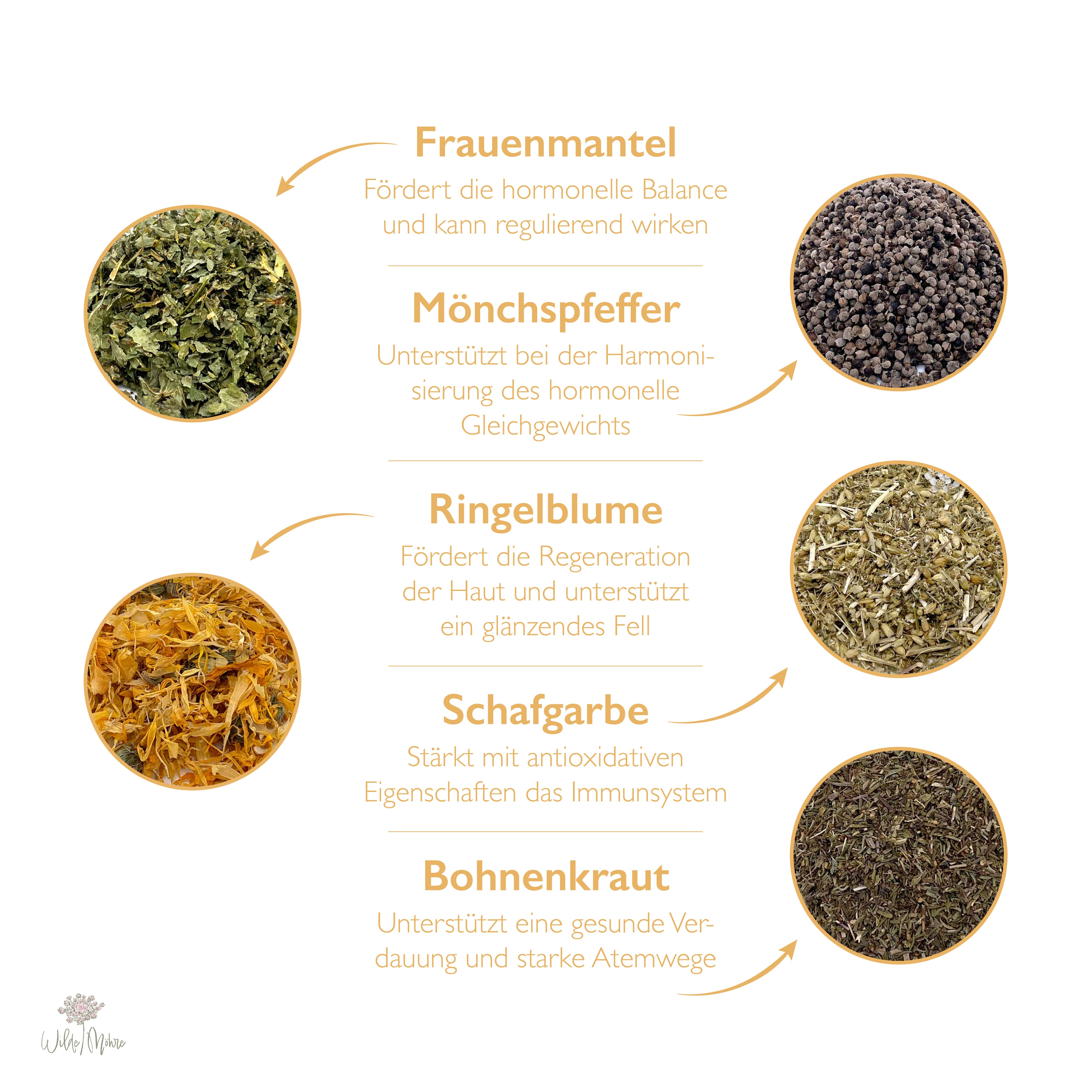 Frühlingskräuter-Set 1 - Hormonbalance