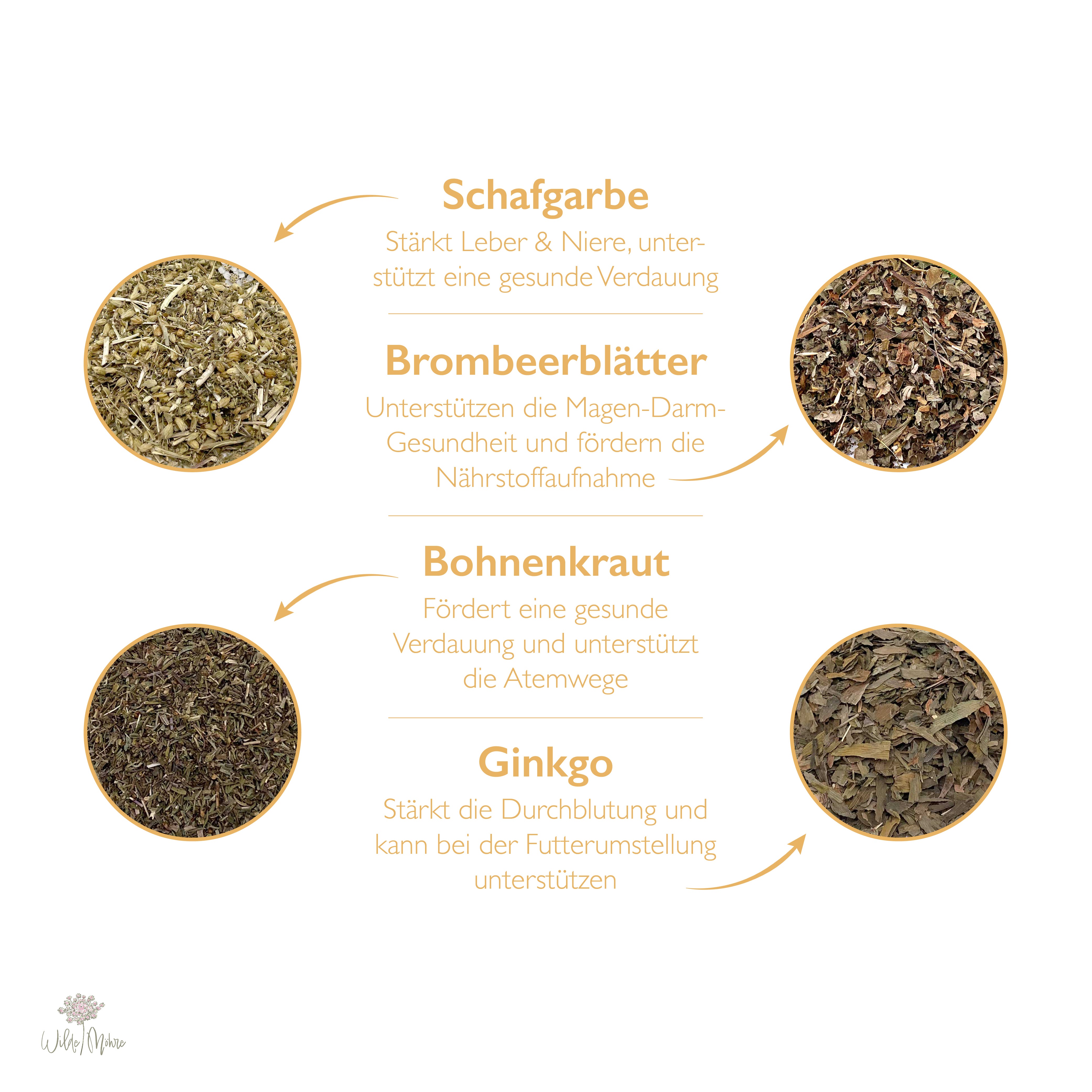 Frühlingskräuter-Set 2 - Anweiden und Verdauung