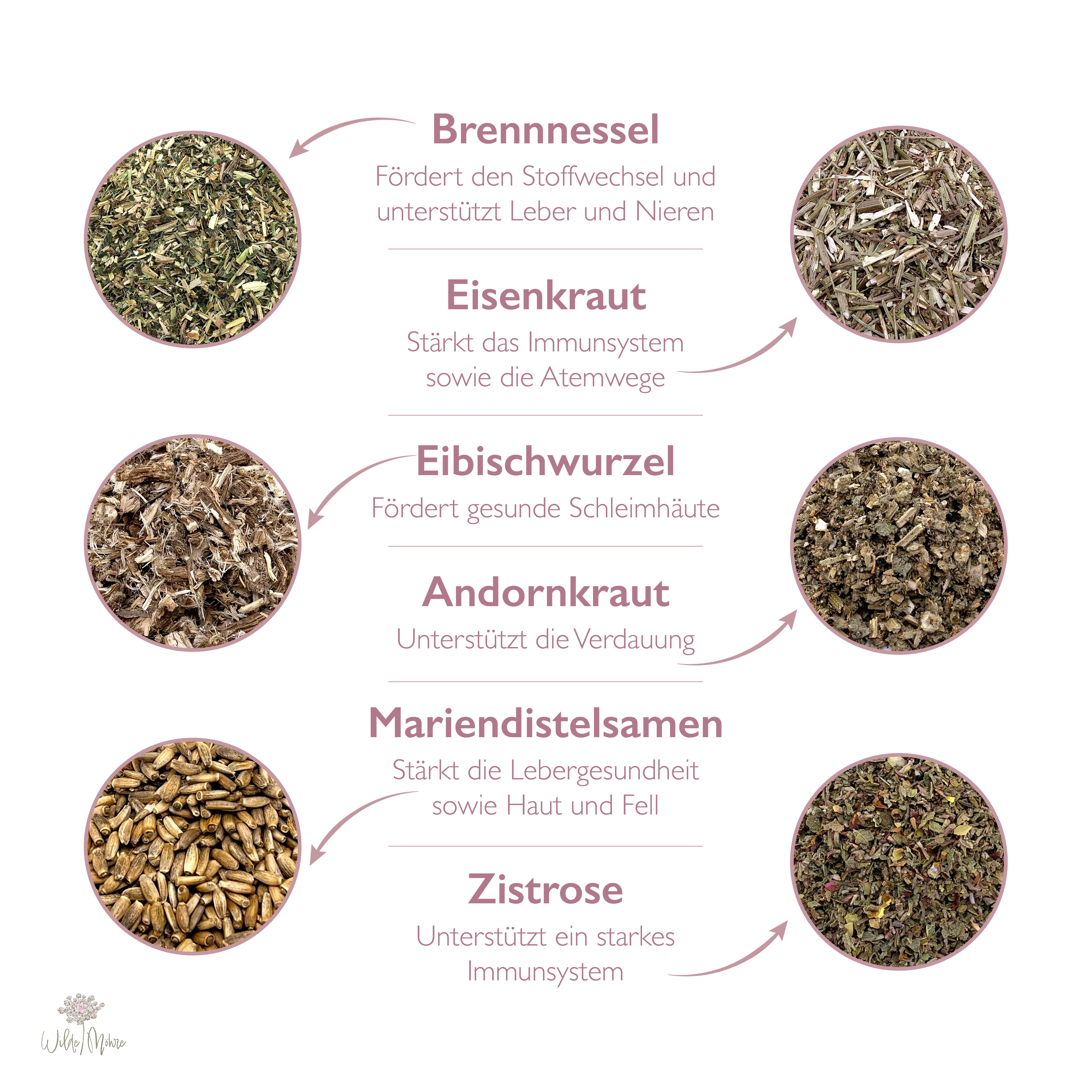 Fellwechsel-Set 2