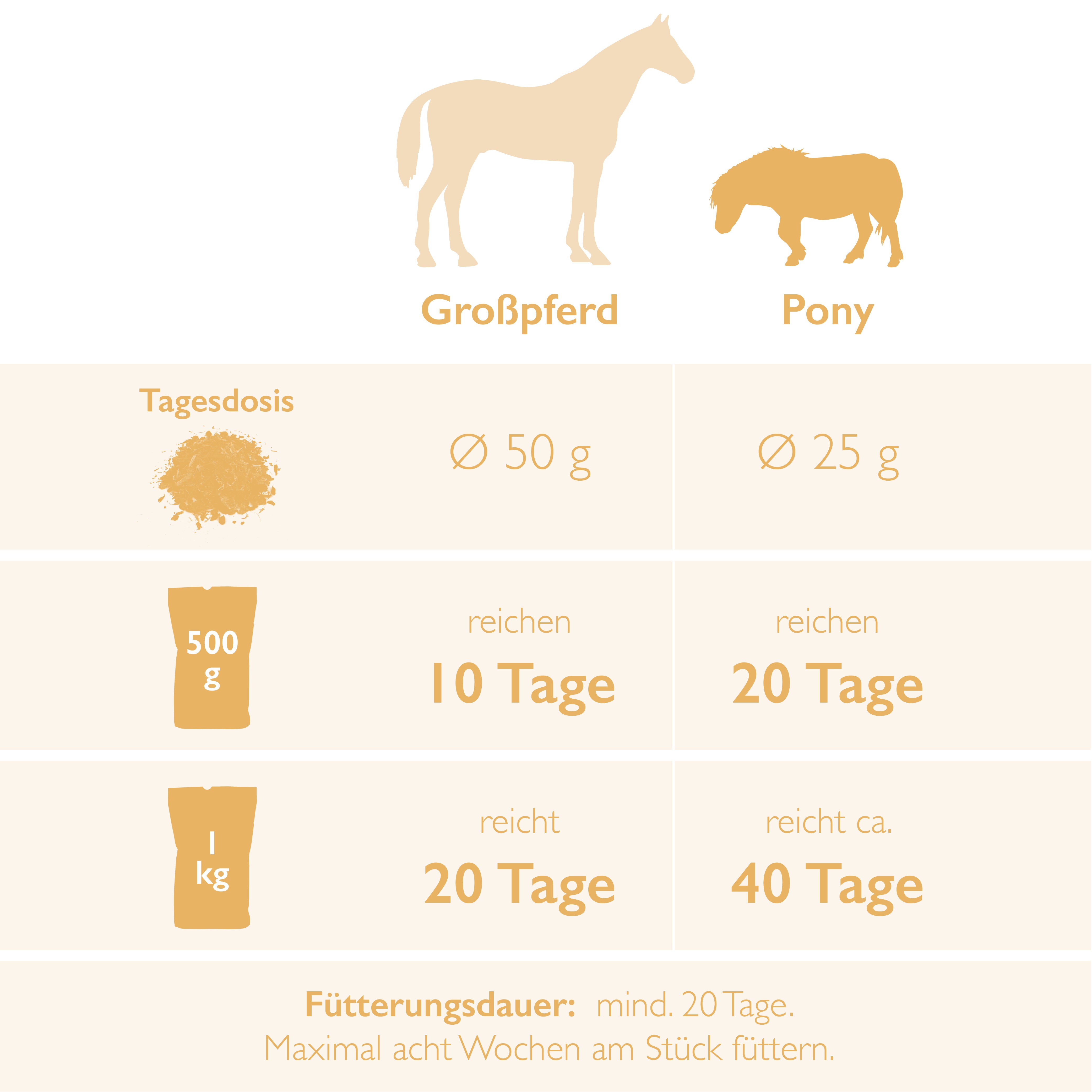Auf geht's