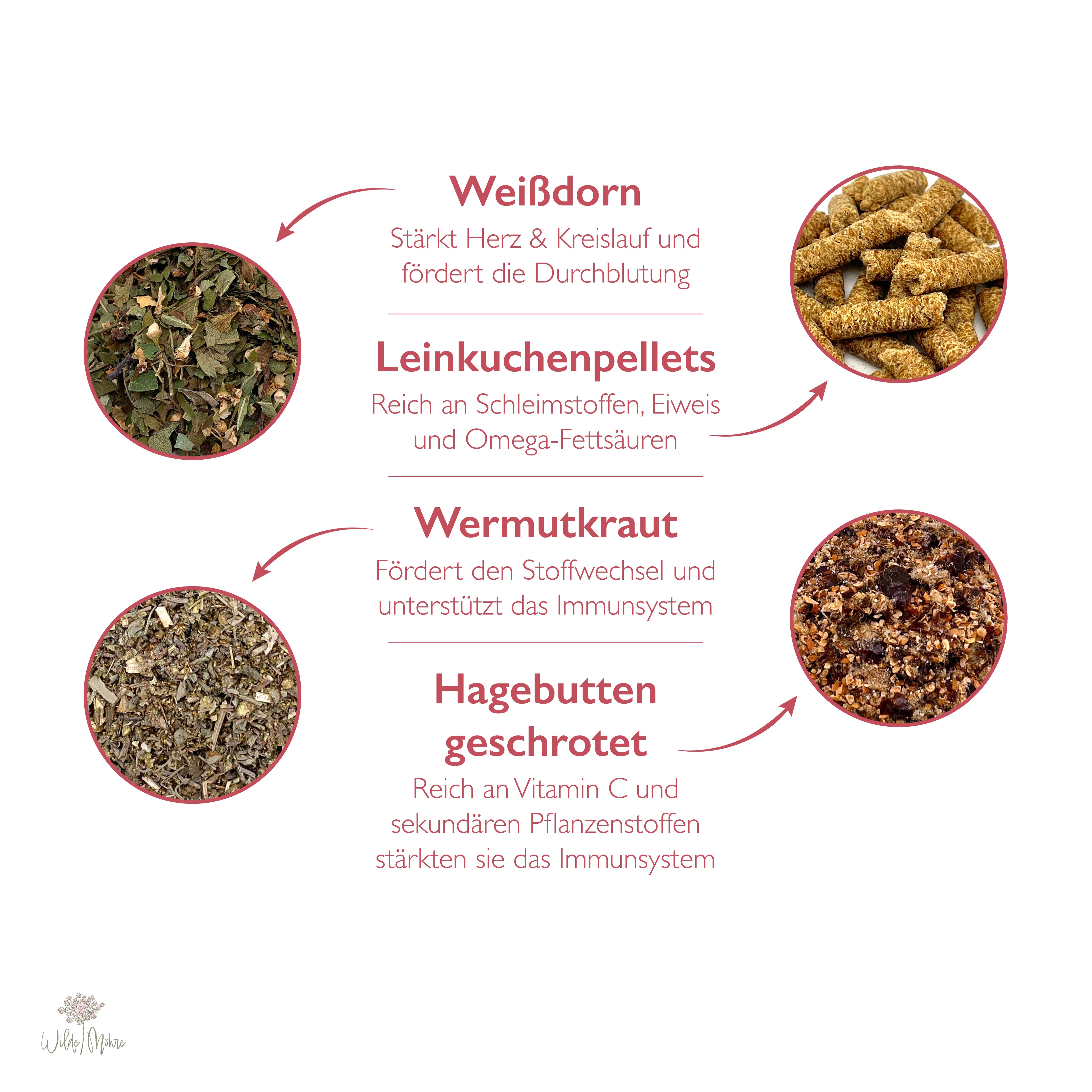 Herbstkräuter-Set "Stoffwechsel & Immunsystem"