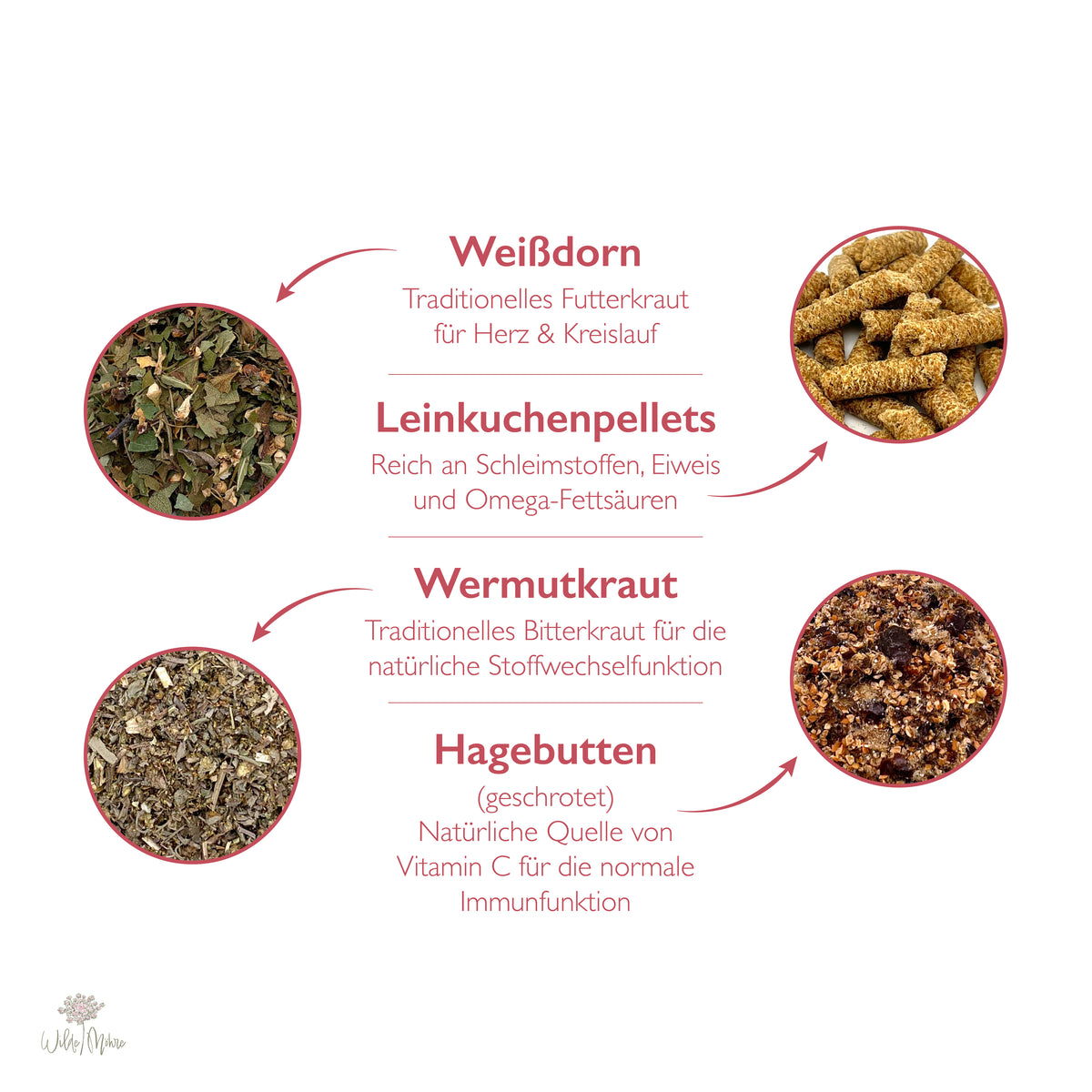Herbstkräuter-Set 1