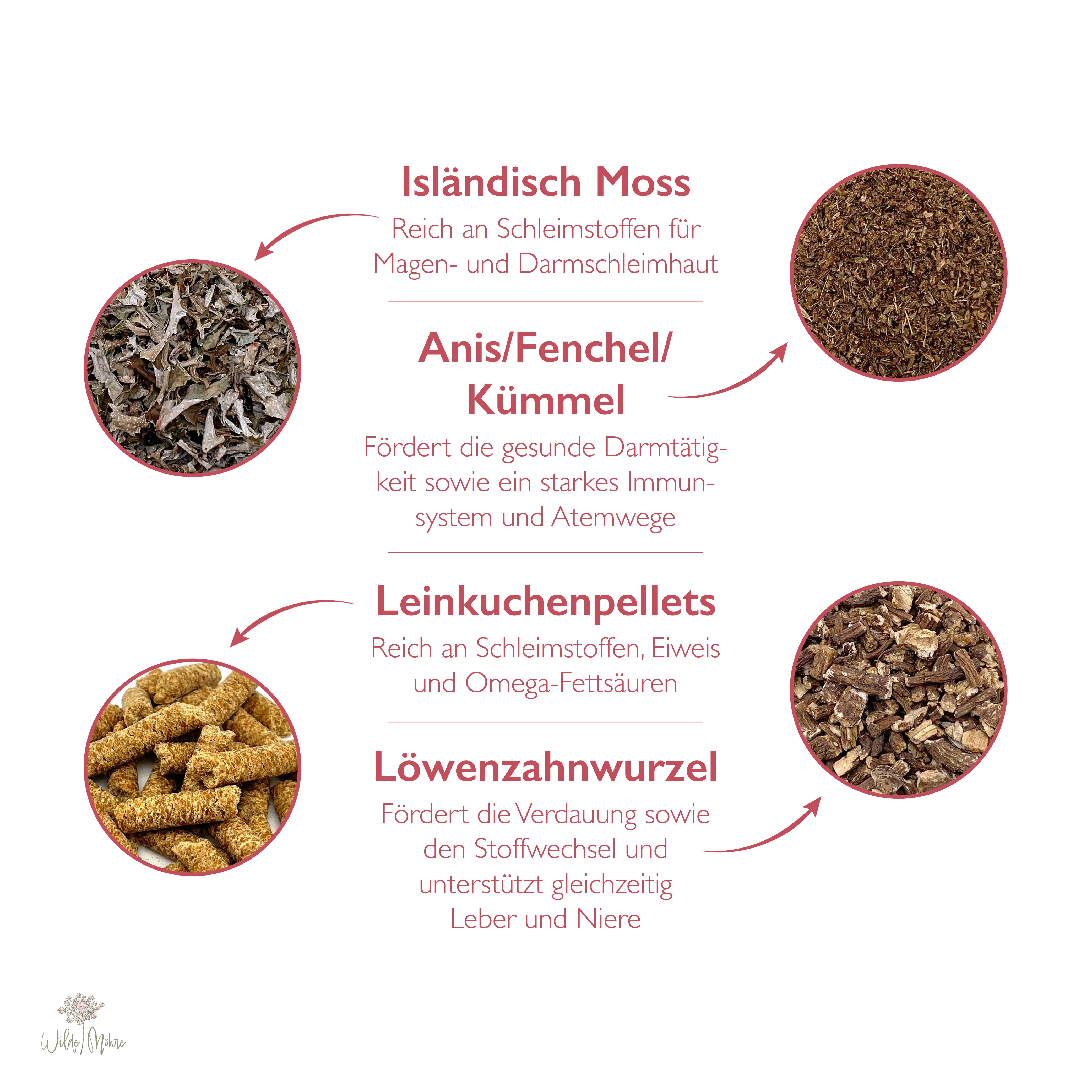 Herbstkräuter-Set "Verdauung & Schleimhäute"