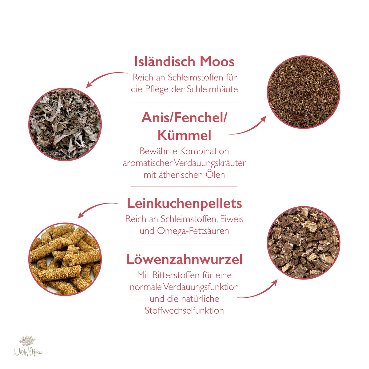 Herbstkräuter-Set 2