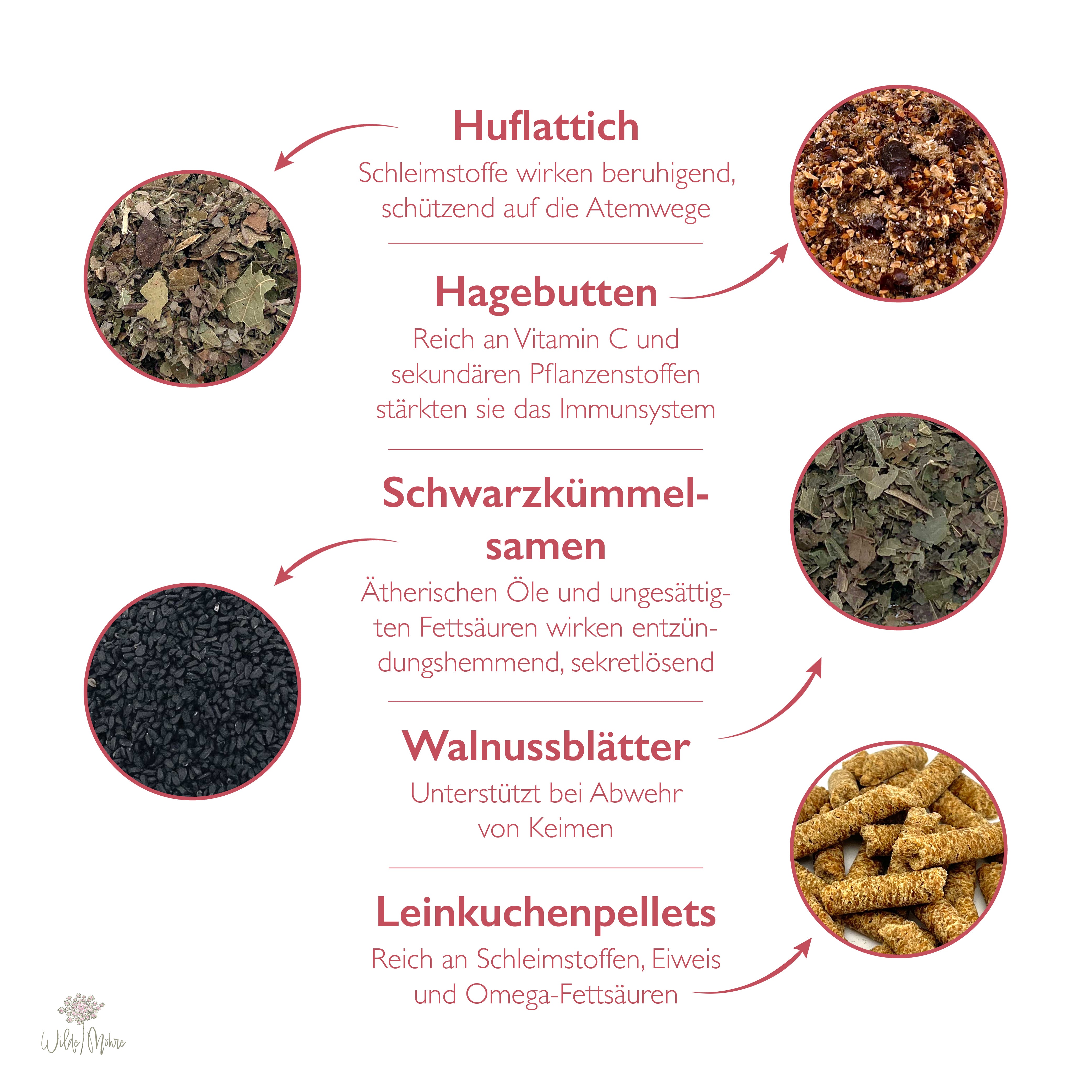 Herbstkräuter-Set "Abwehrkräfte & Atemwege"