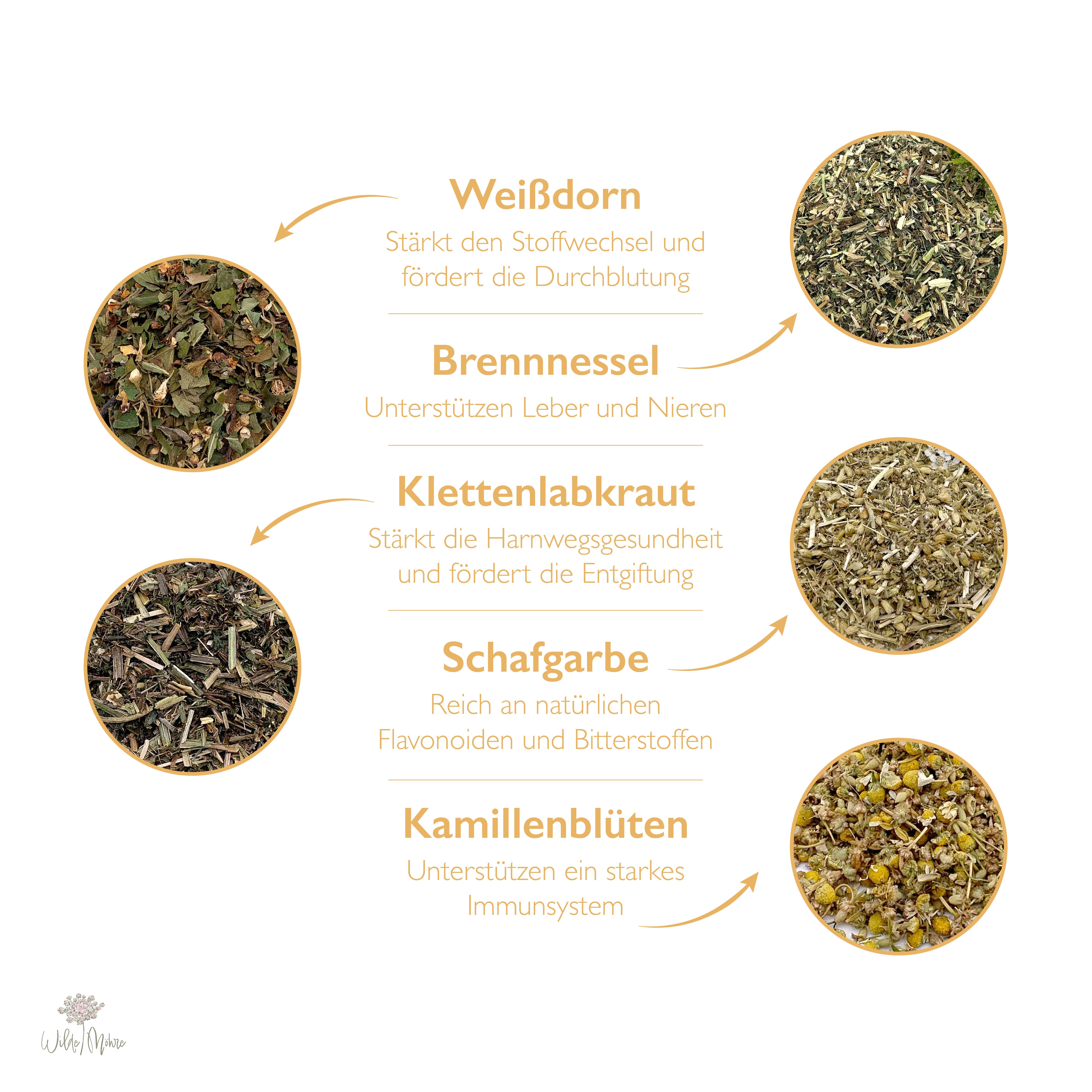 Auf geht's