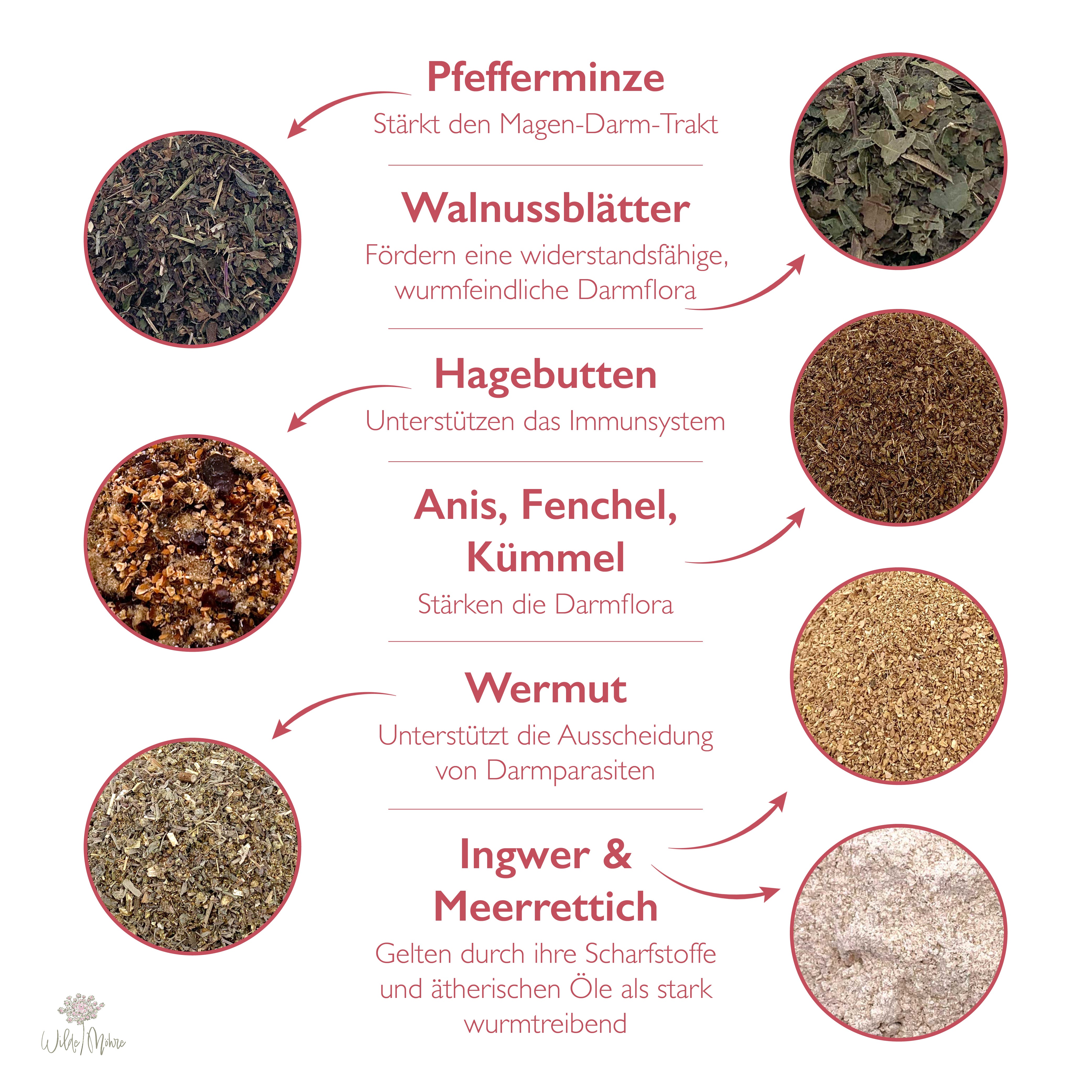 Raus damid