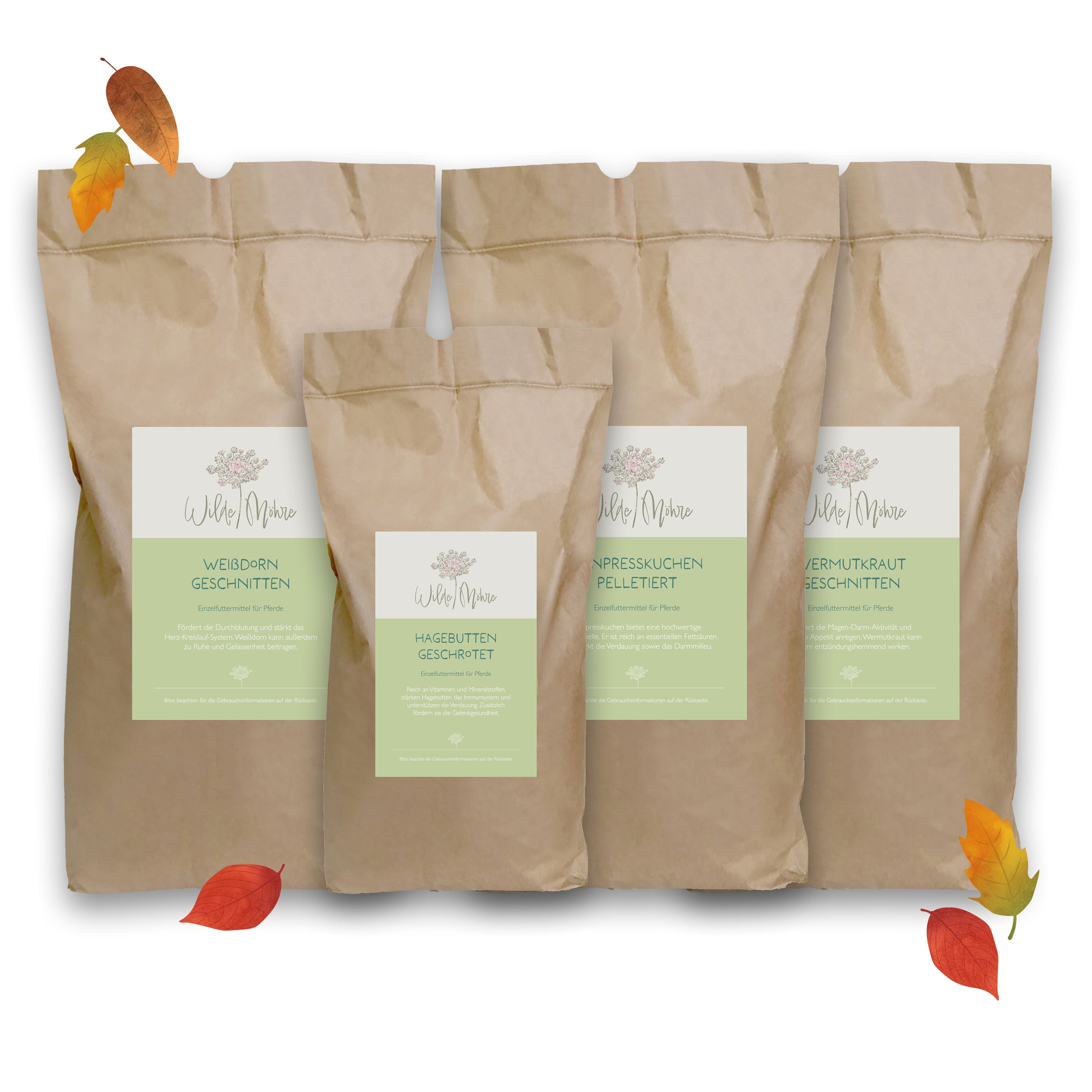 Herbstkräuter-Set "Stoffwechsel & Immunsystem"