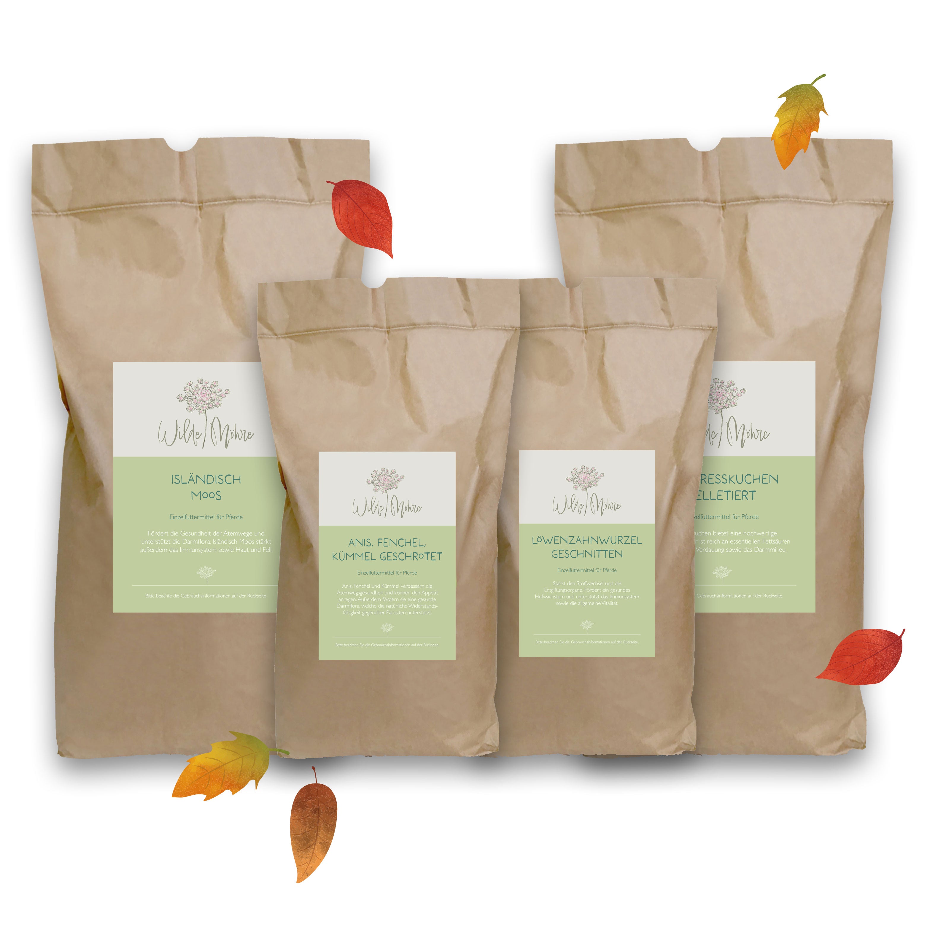 Herbstkräuter-Set "Verdauung & Schleimhäute"