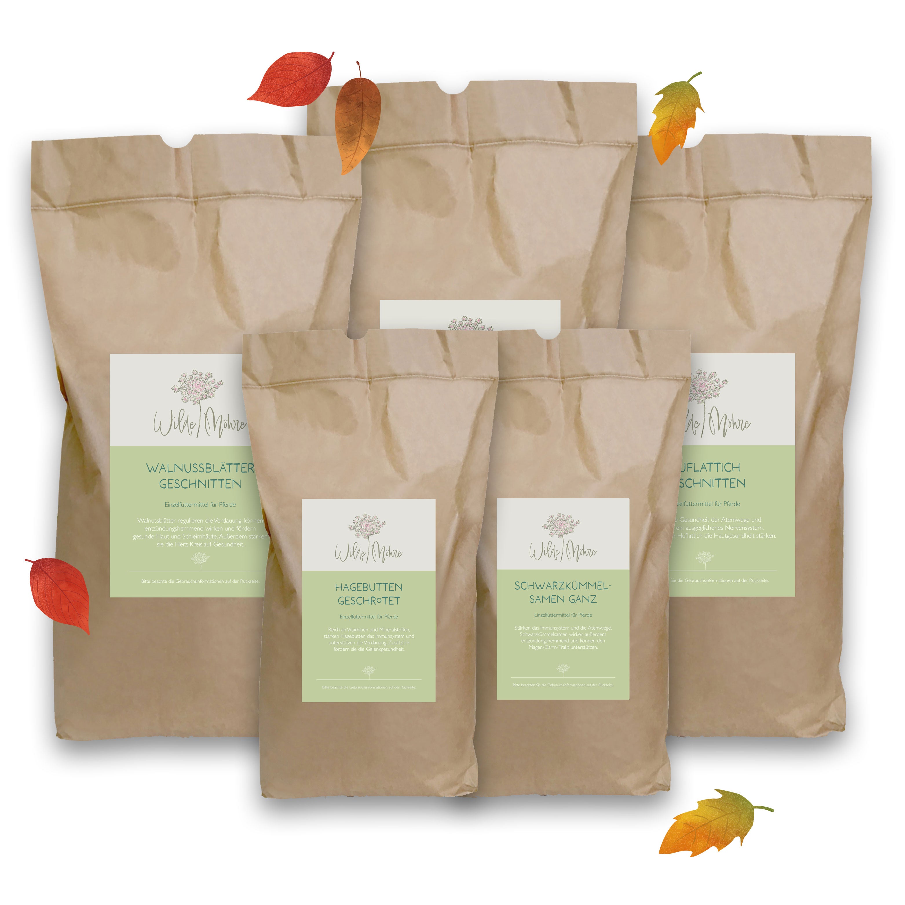 Herbstkräuter-Set "Abwehrkräfte & Atemwege"
