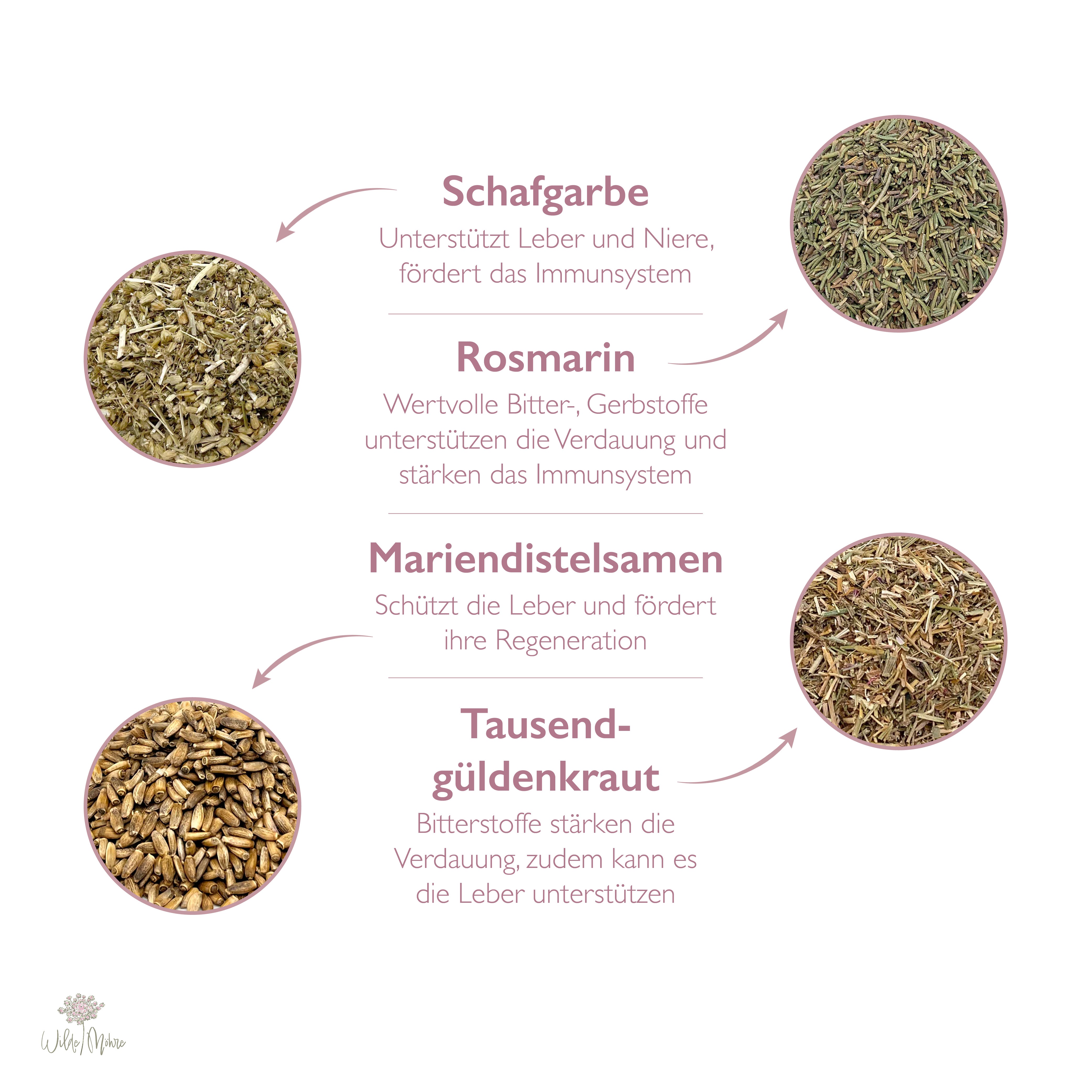 Sommerkräuter-Set "Leber & Niere"