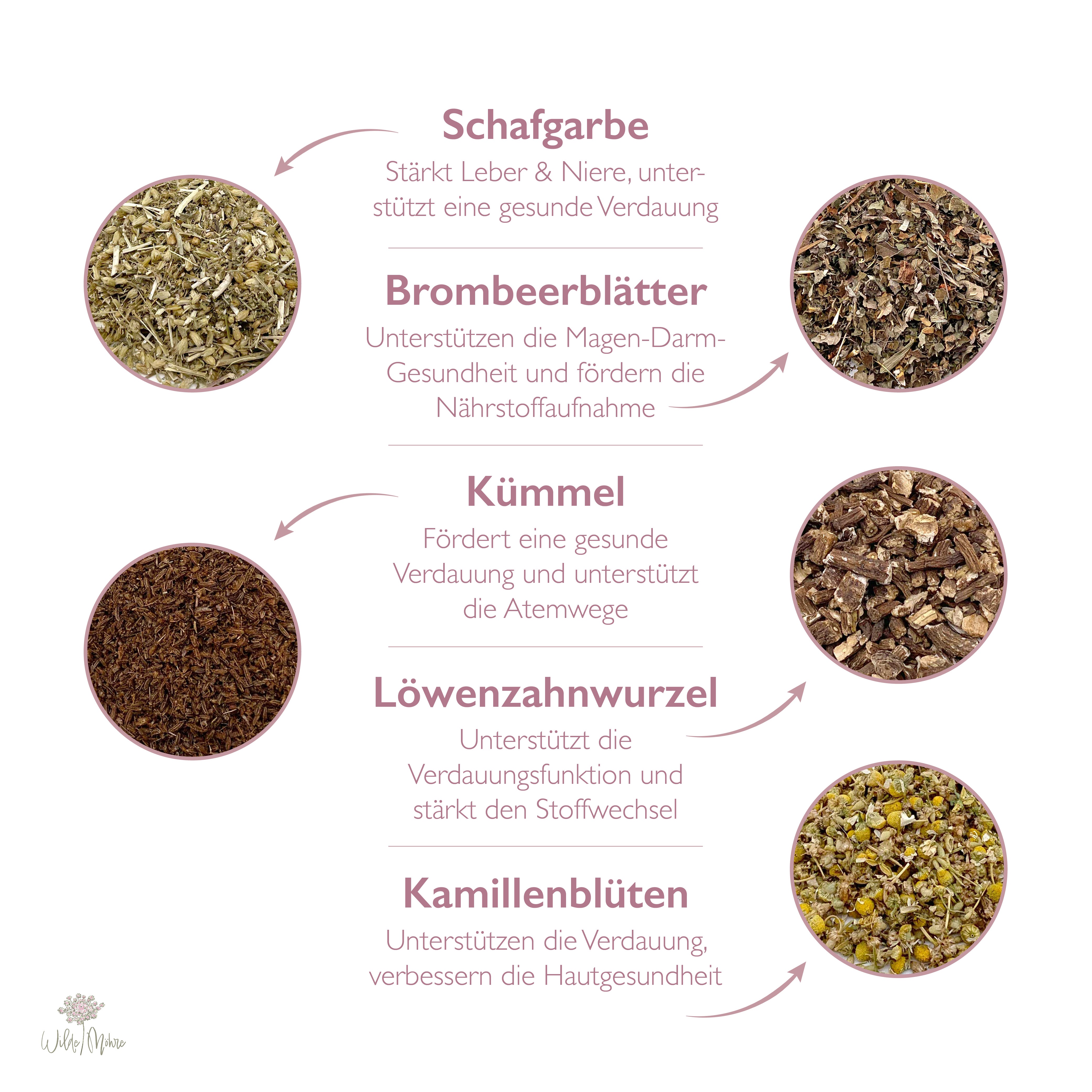 Sommerkräuter-Set "Starke Verdauung"