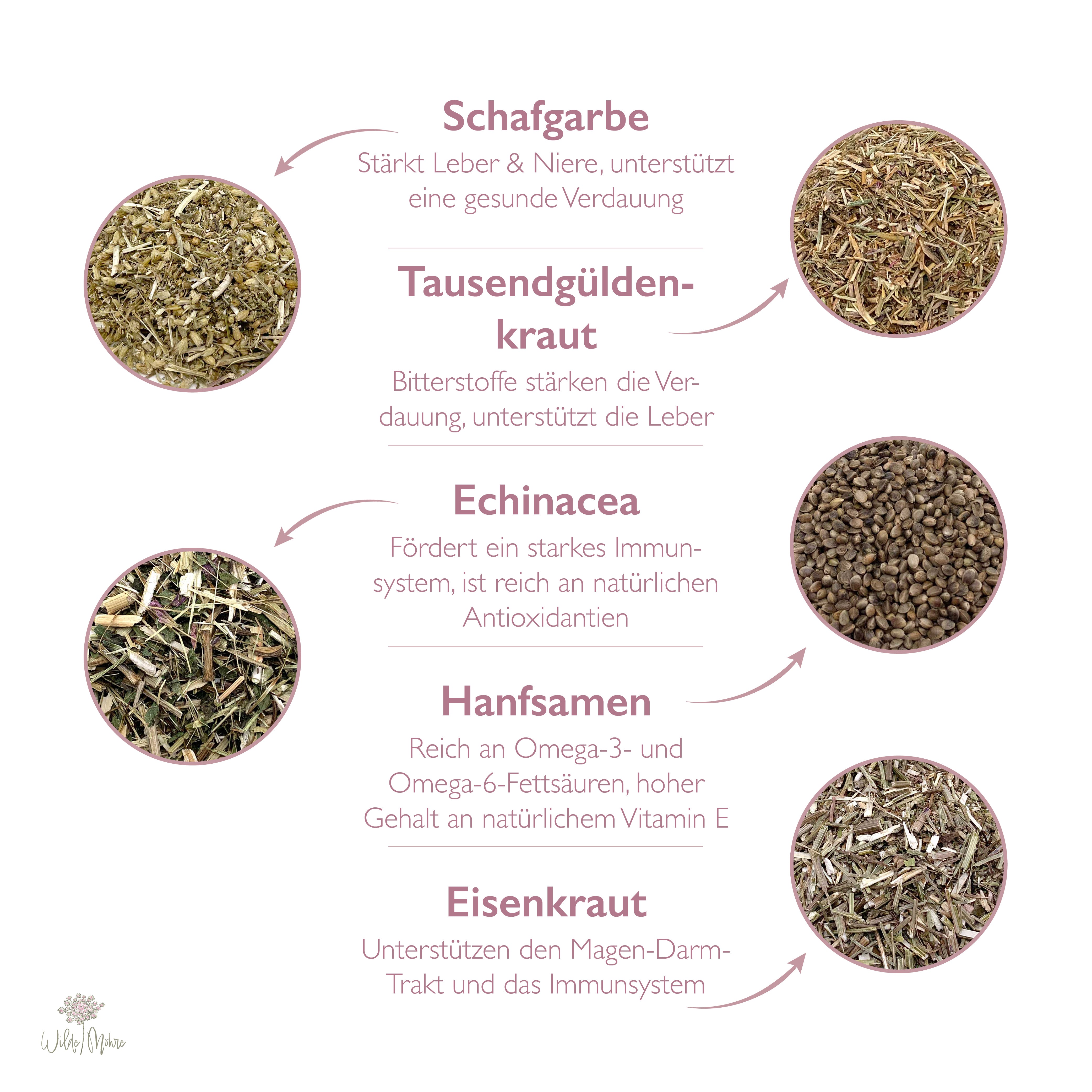 Sommerkräuter-Set "Starkes Immunsystem"