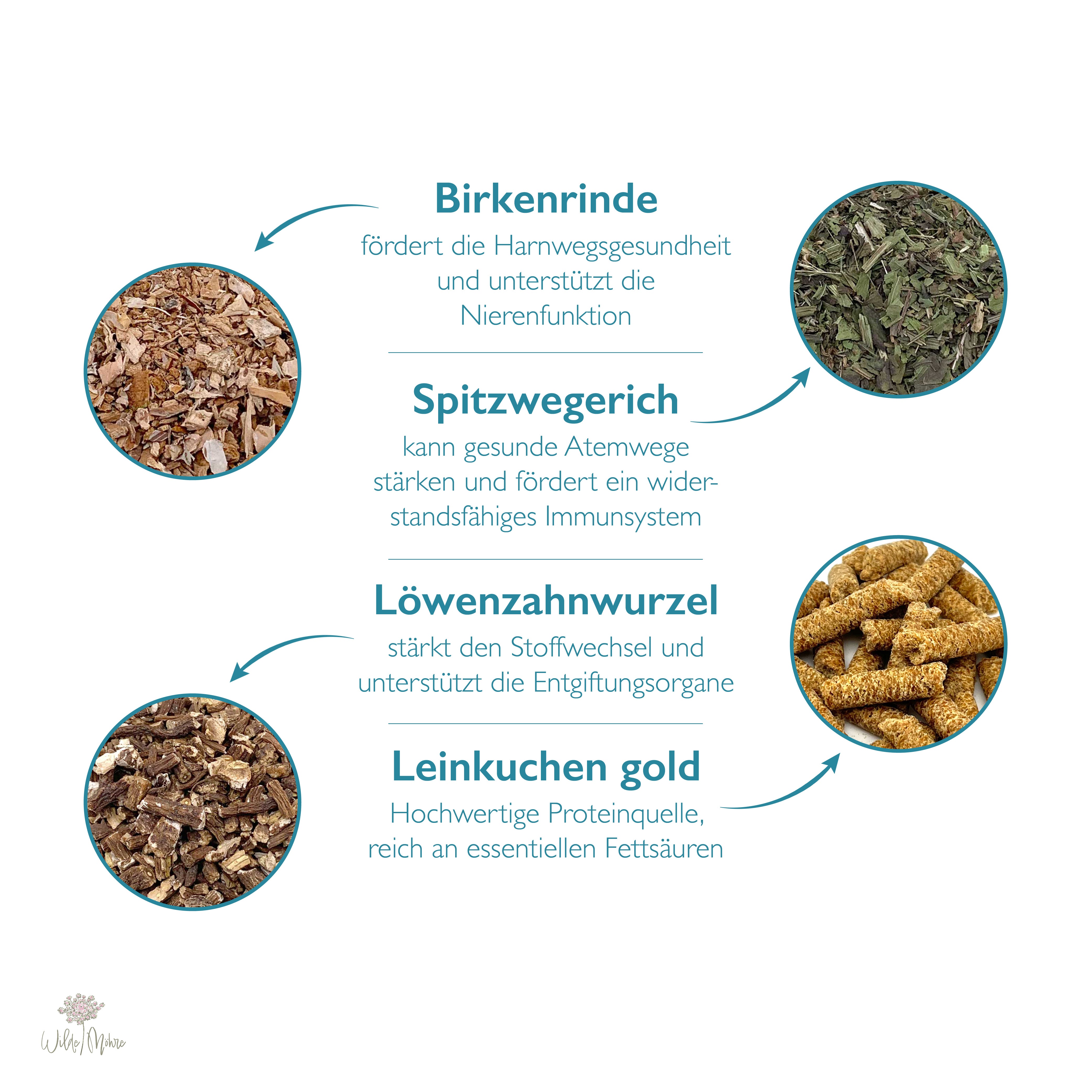 Winterkräuter-Set „Leber, Niere & Stoffwechsel“