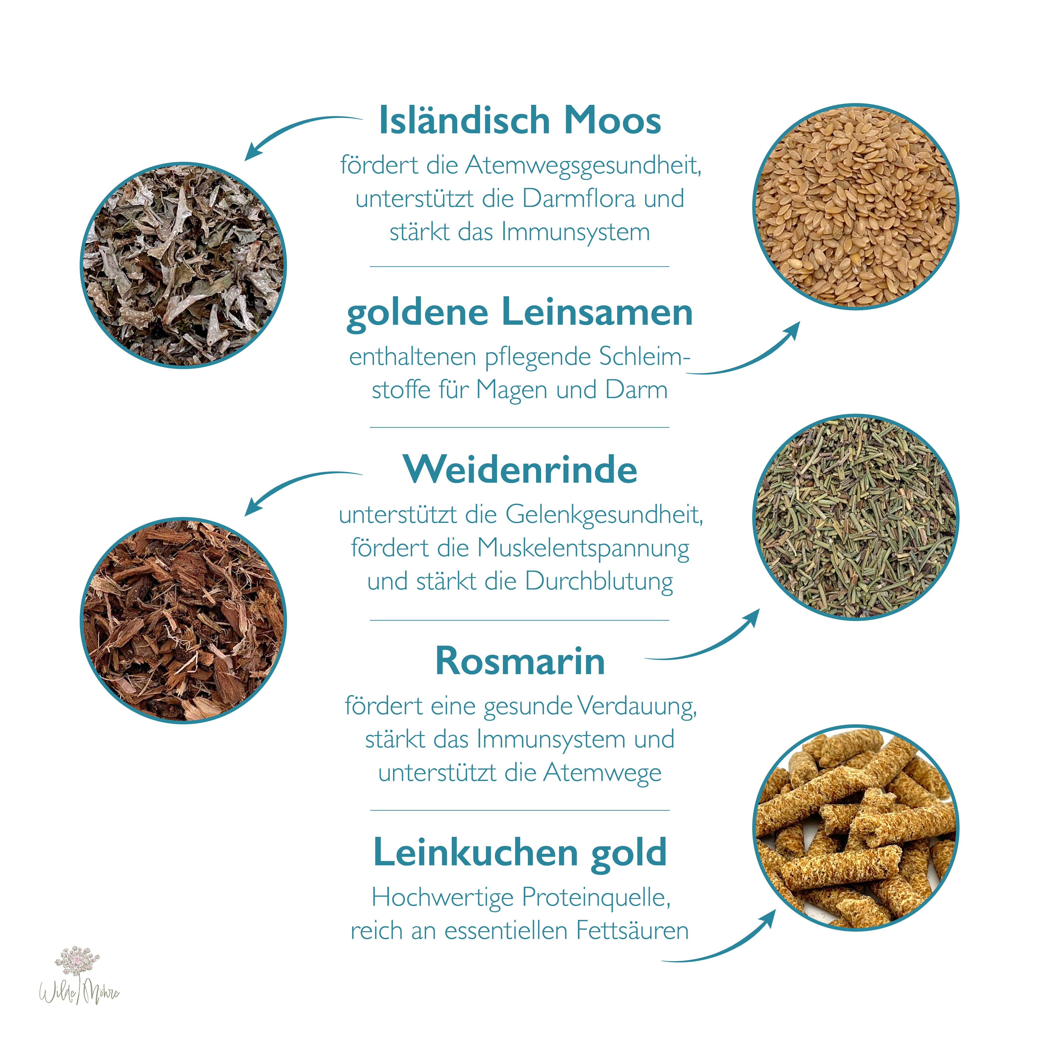 Winterkräuter-Set „Magen & Darm“