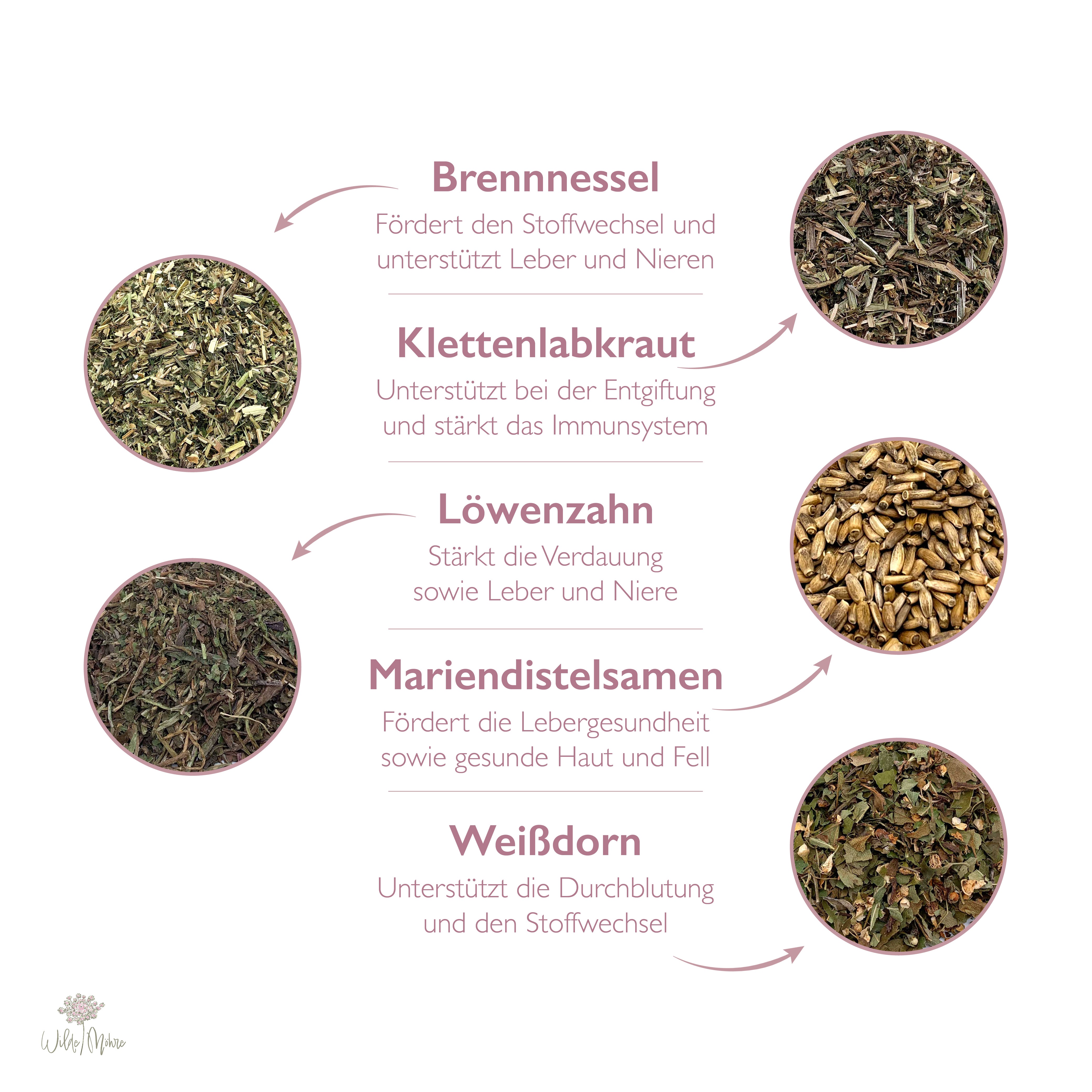Fellwechsel-Set 3